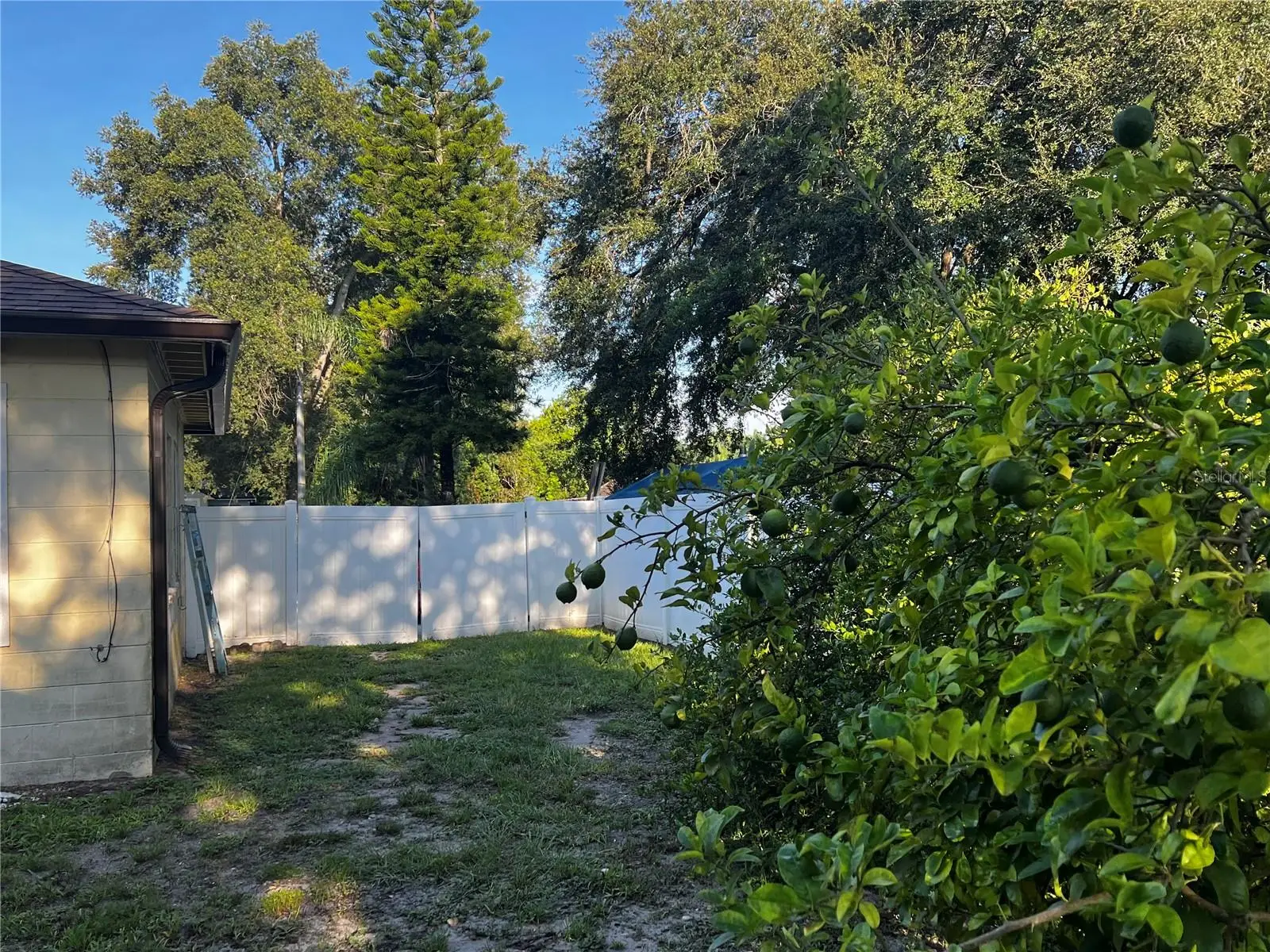 2427 Princeton Avenue, FL