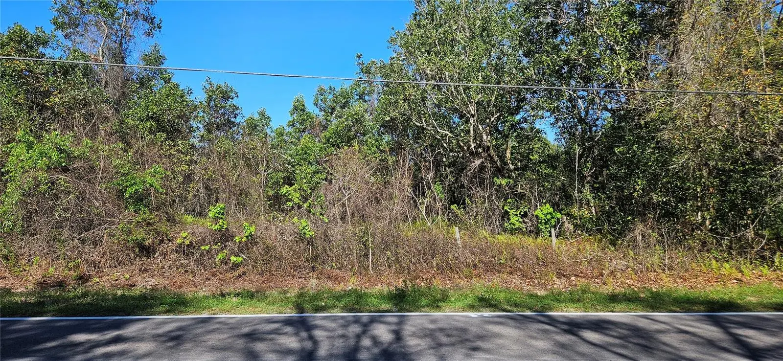 6336 Timberlane Road, FL