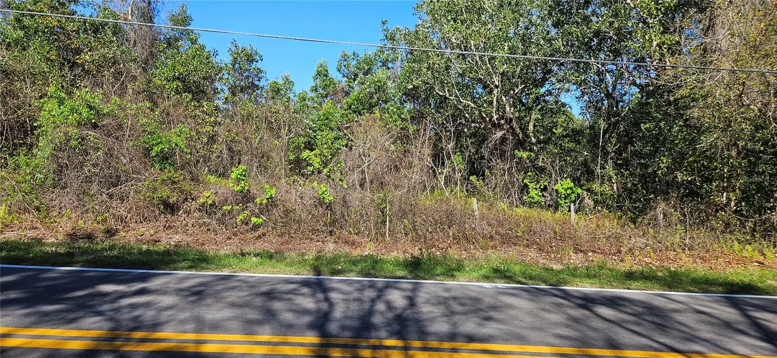 Timberlane Road, FL