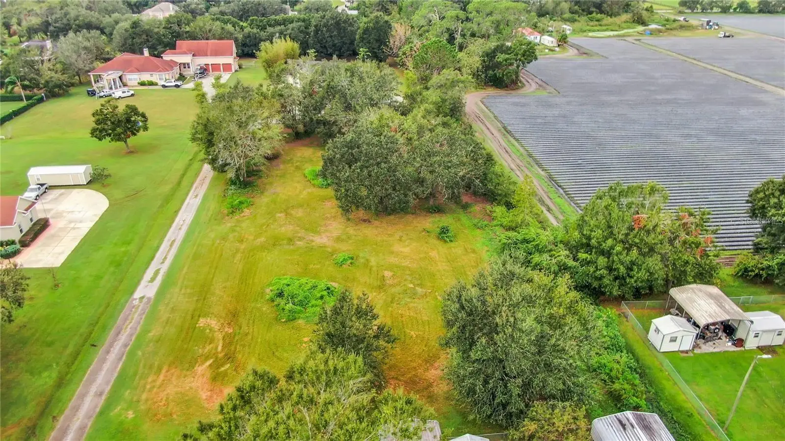 13906 Sweet Blossom Court, FL