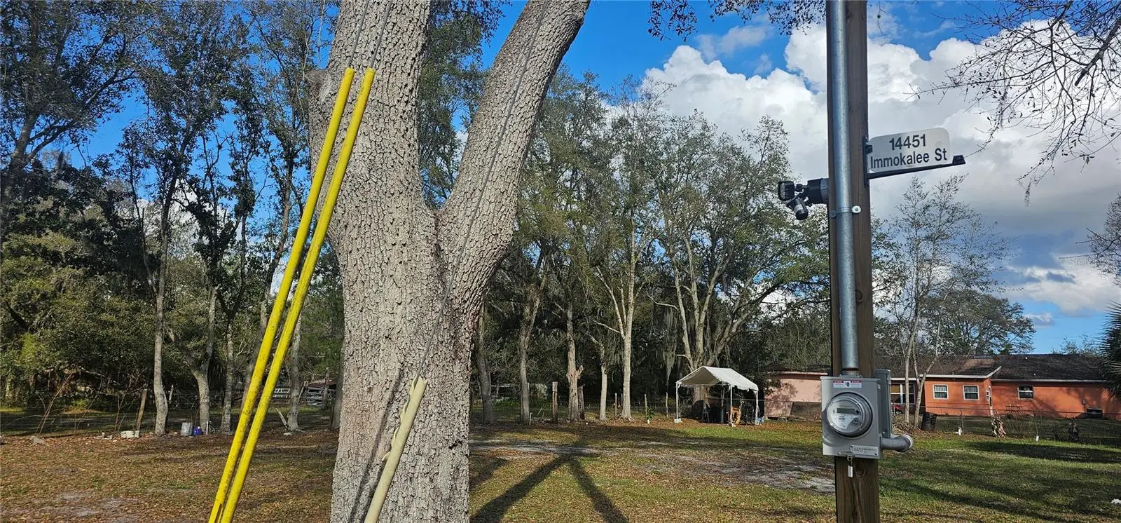 Immokalee Street, FL