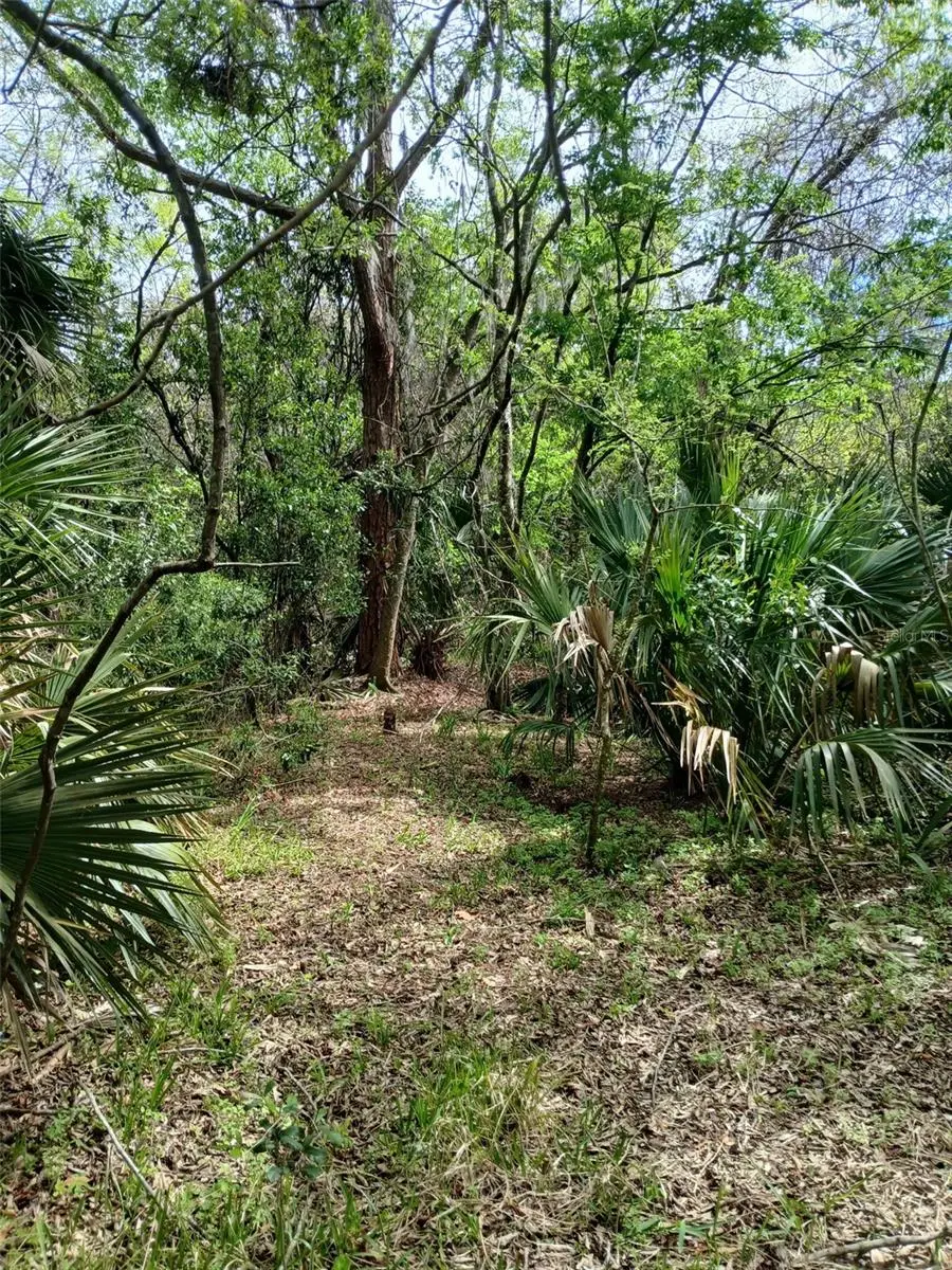 E Hubbard Avenue, FL