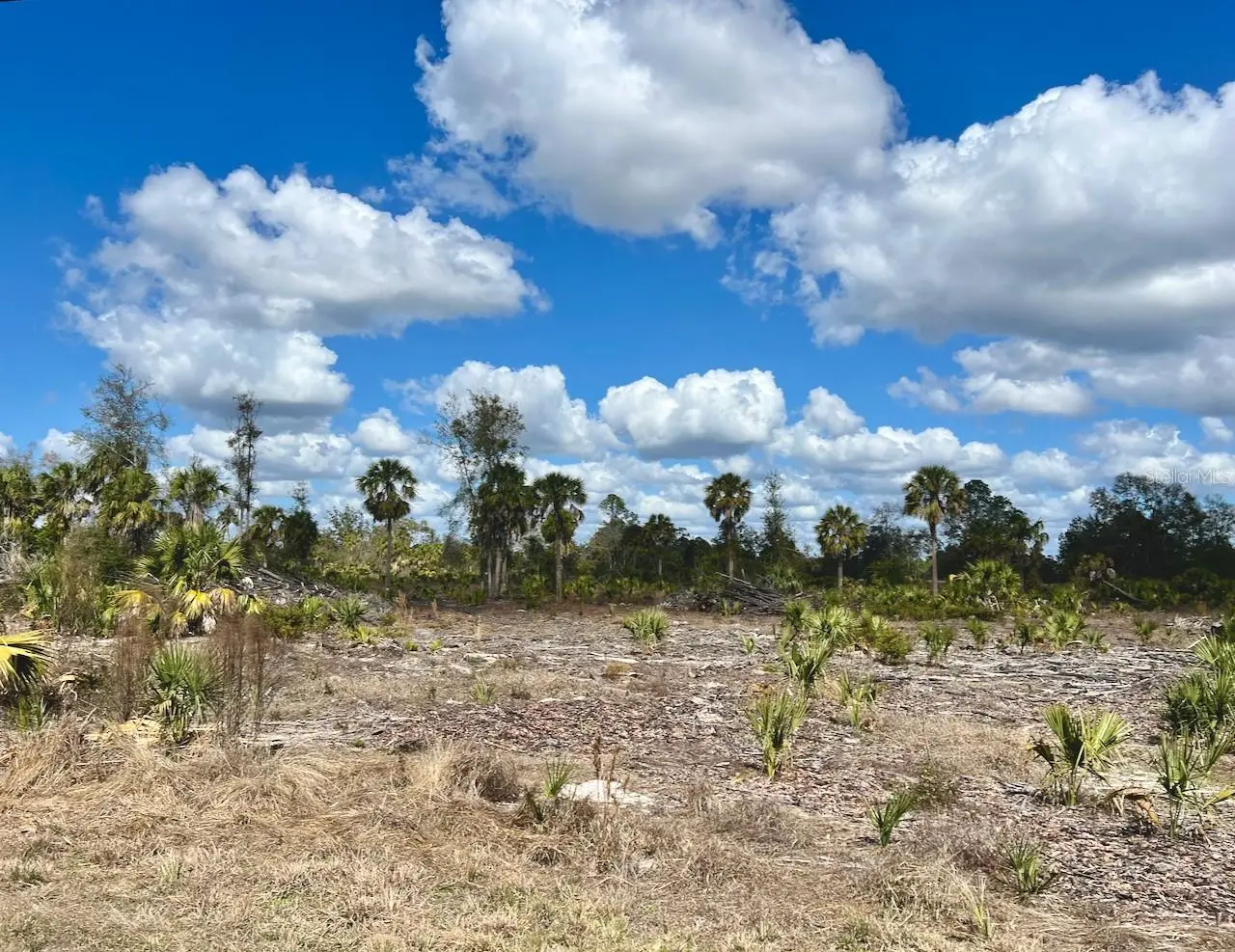 Shiloh Road, FL