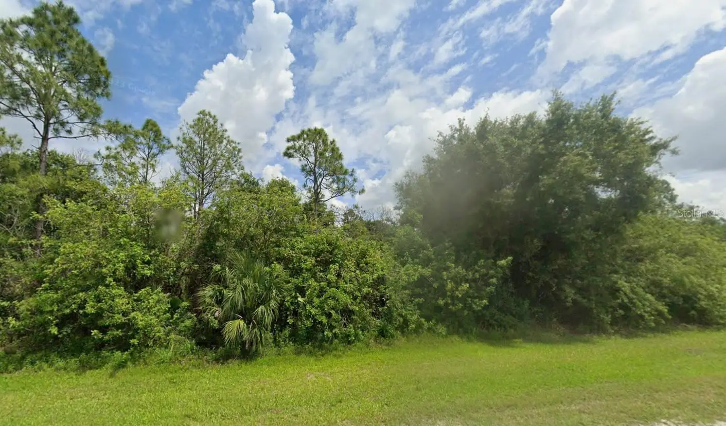 869 Appaloosa Avenue, FL