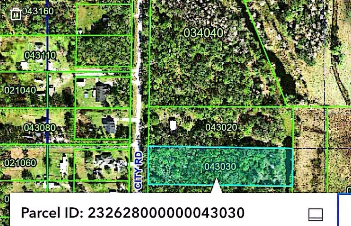 Old Dade City Road, FL