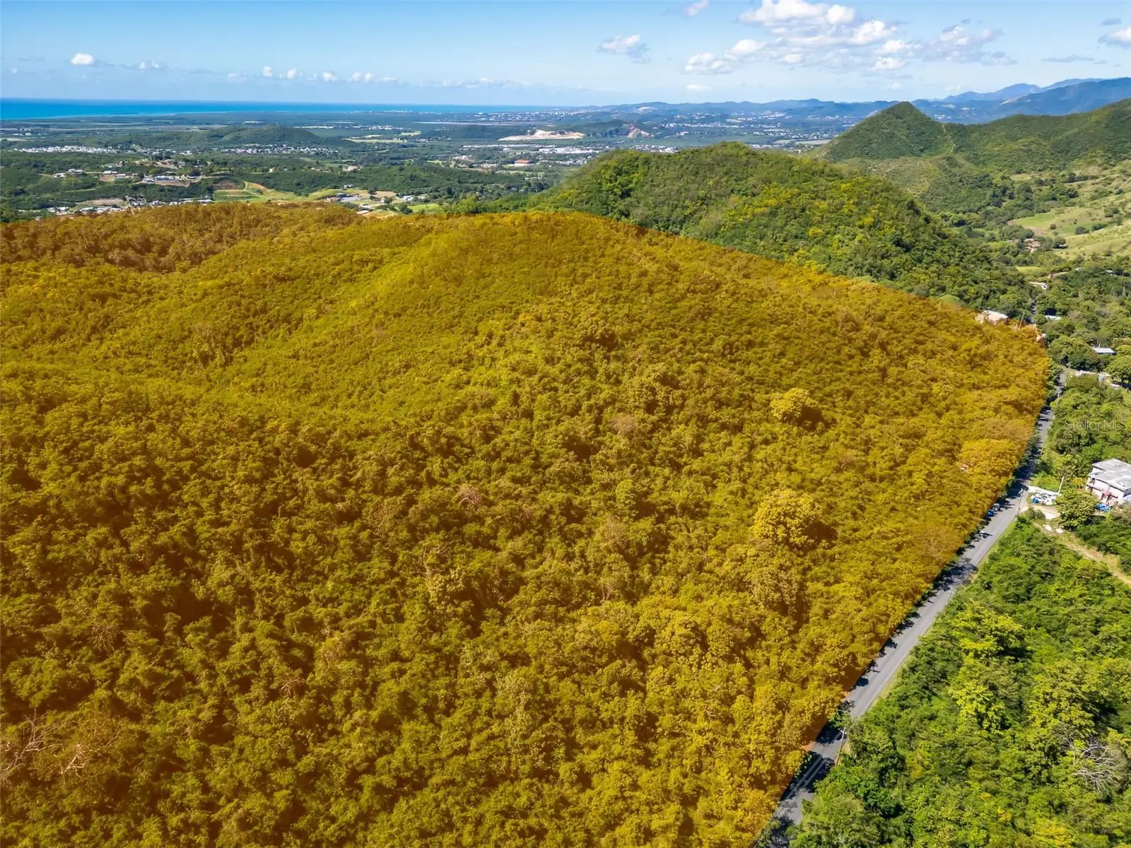Bo Tijeras, PR