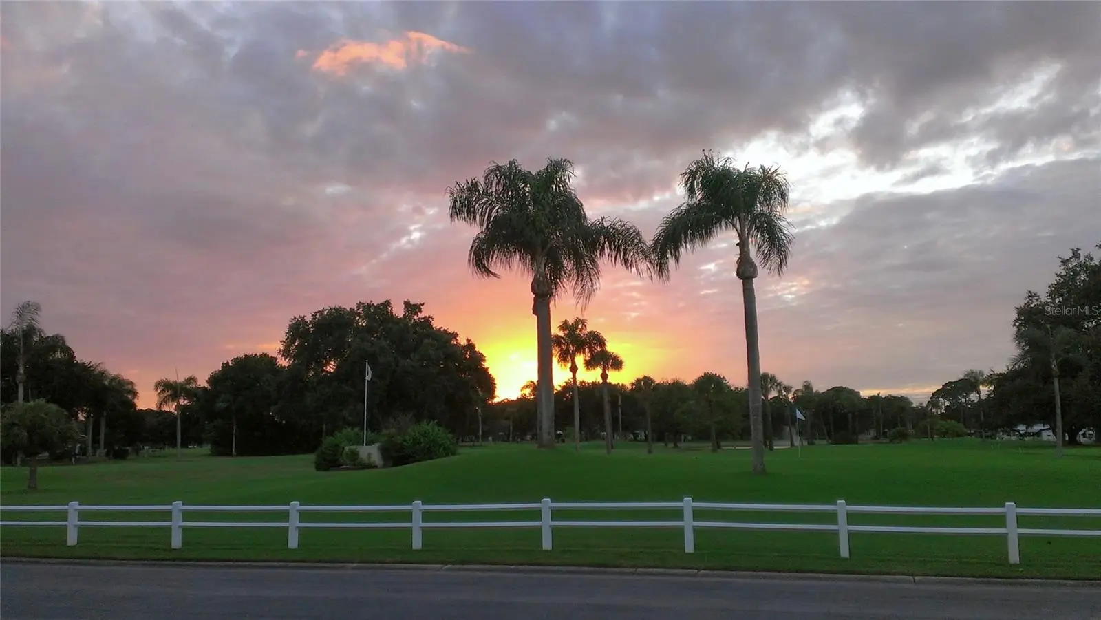 1100 Belcher Road, FL