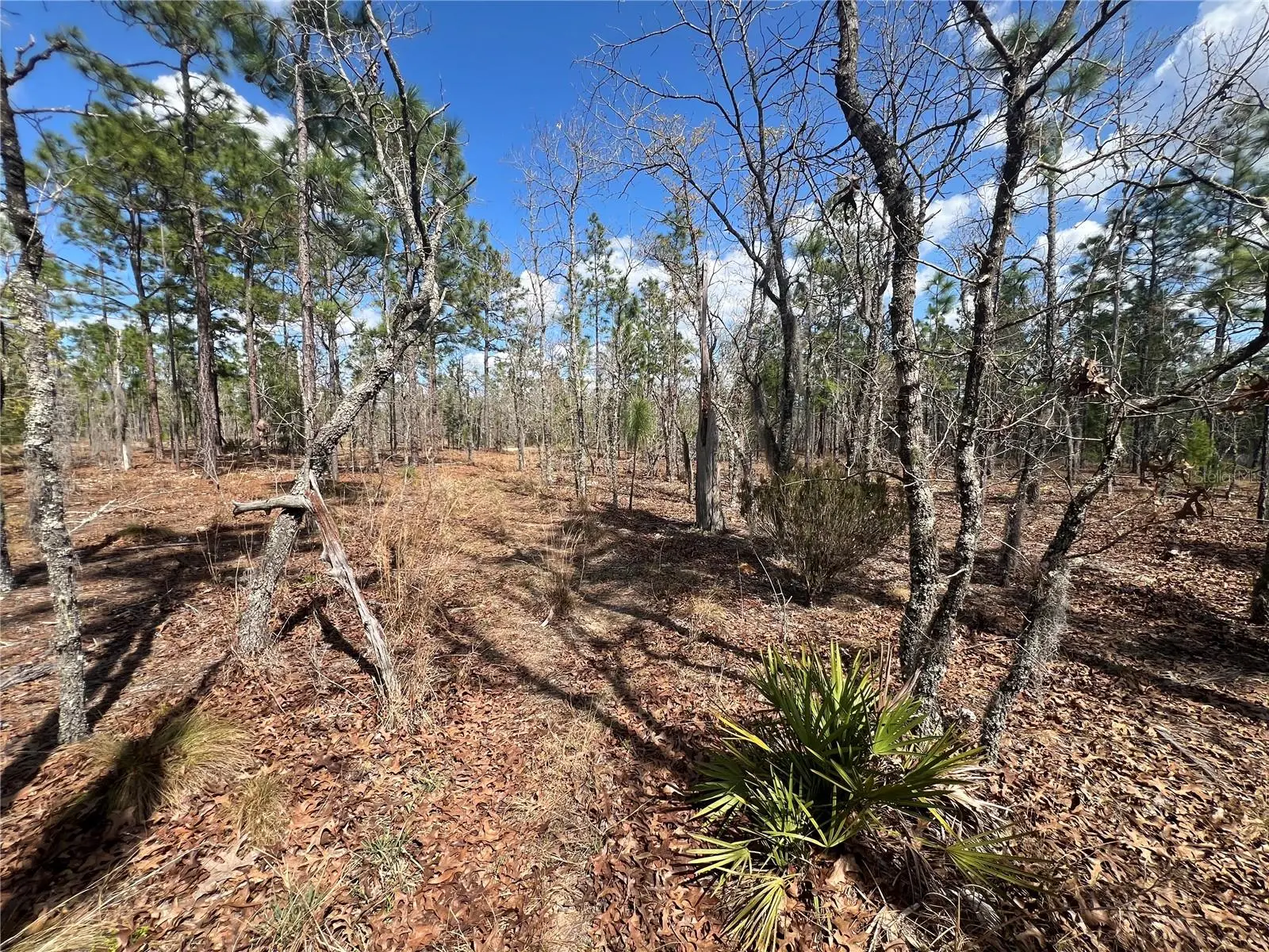 143 Quail Way, FL