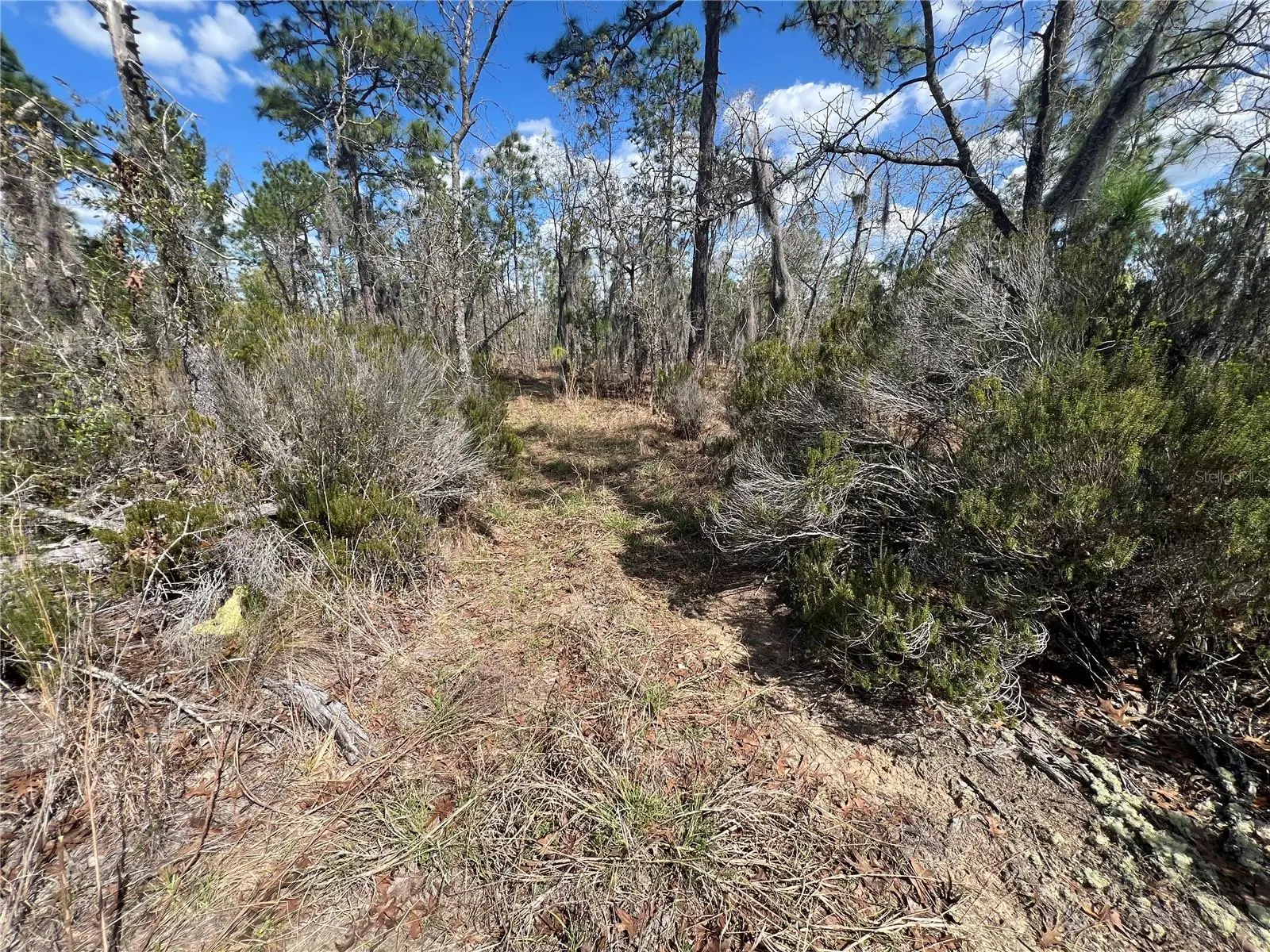 143 Quail Way, FL