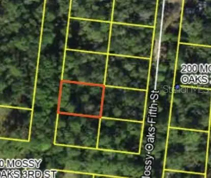 200 Mossy Oaks 4th Street, FL