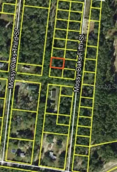 200 Mossy Oaks 4th Street, FL