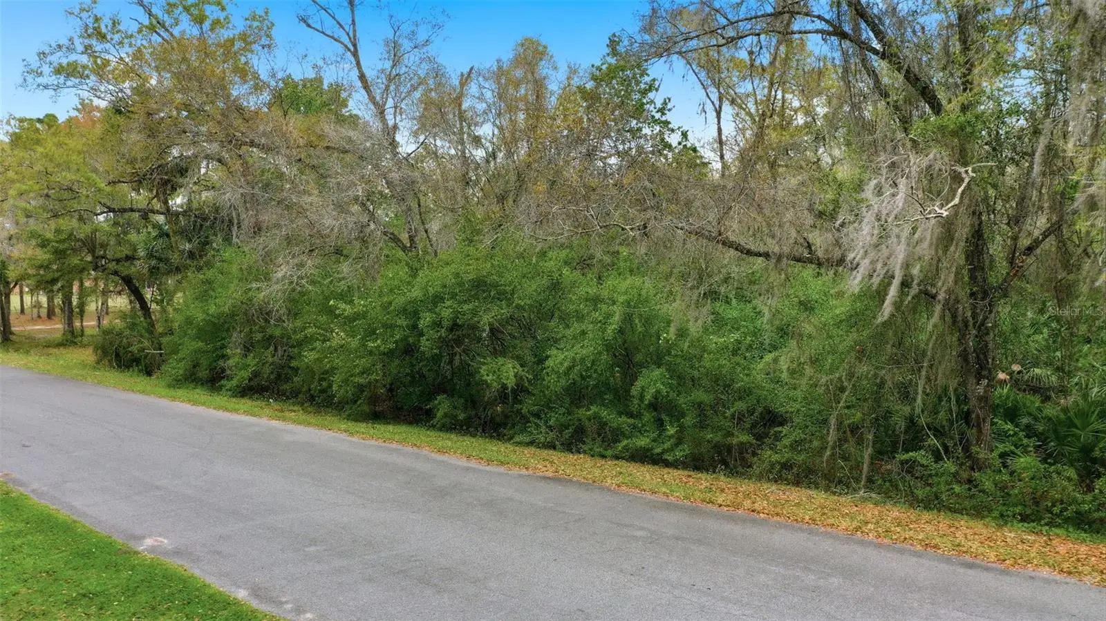 Quinlan Street, FL