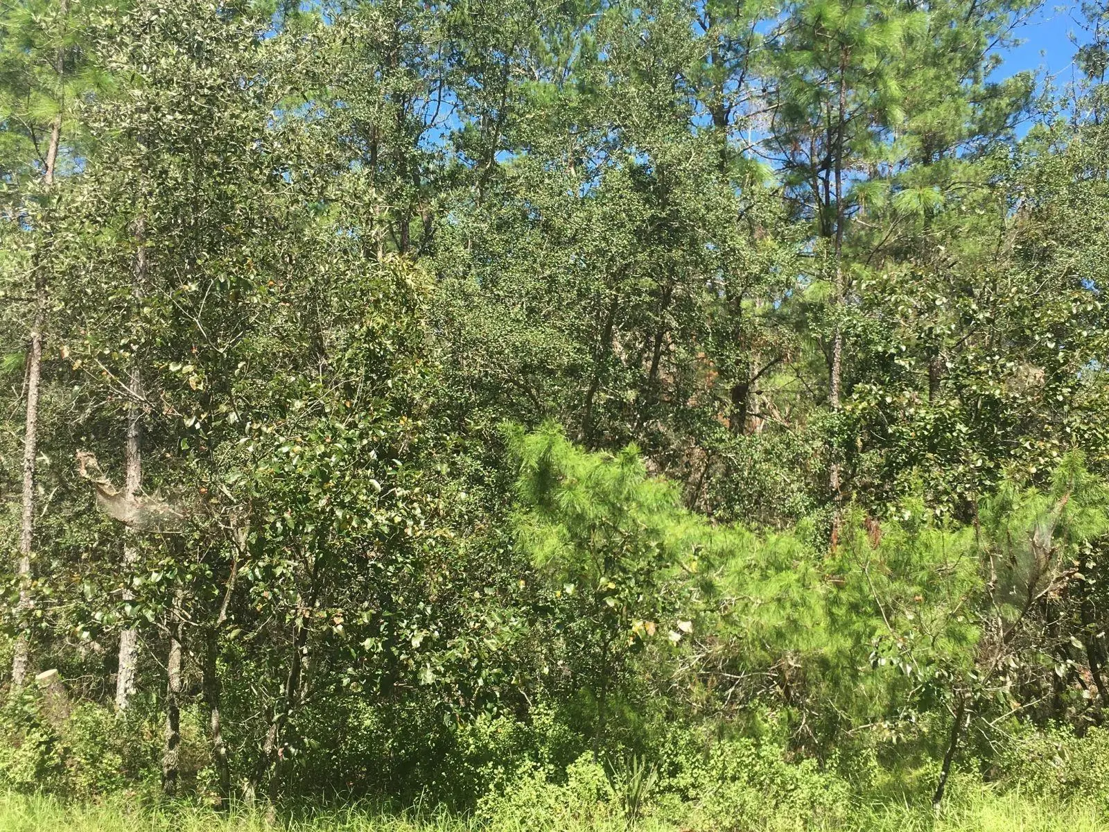 45th Terrace Road, FL