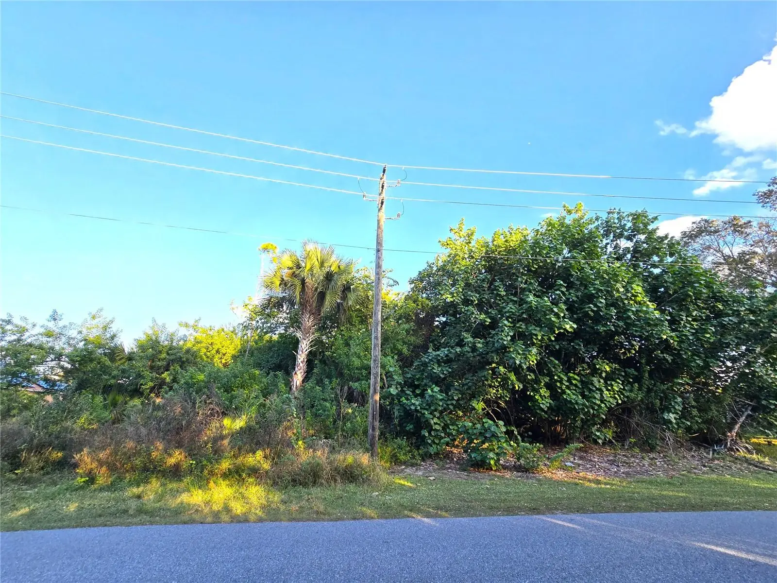 1667 Red Bud Circle, FL