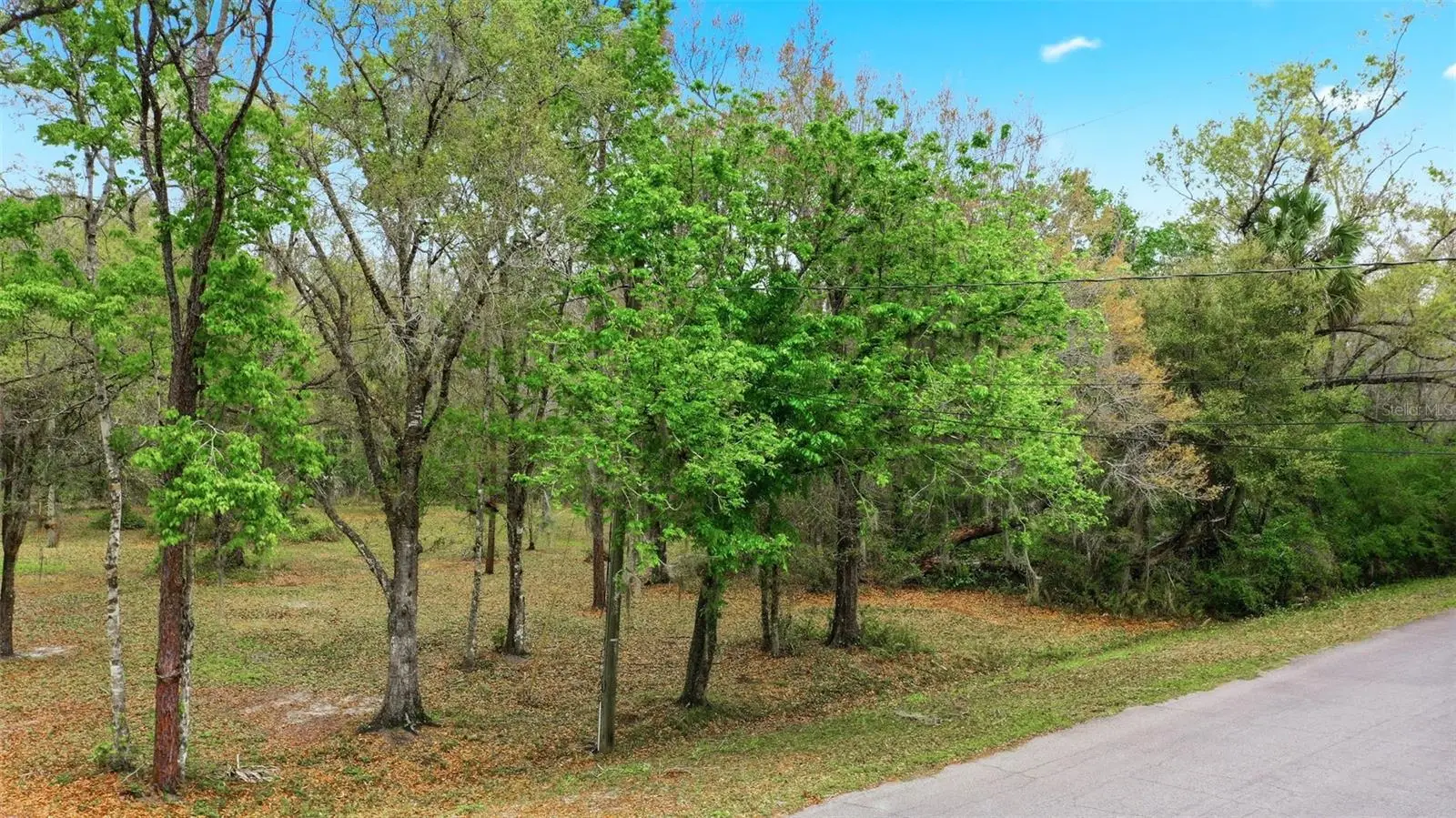 Quinlan Street, FL