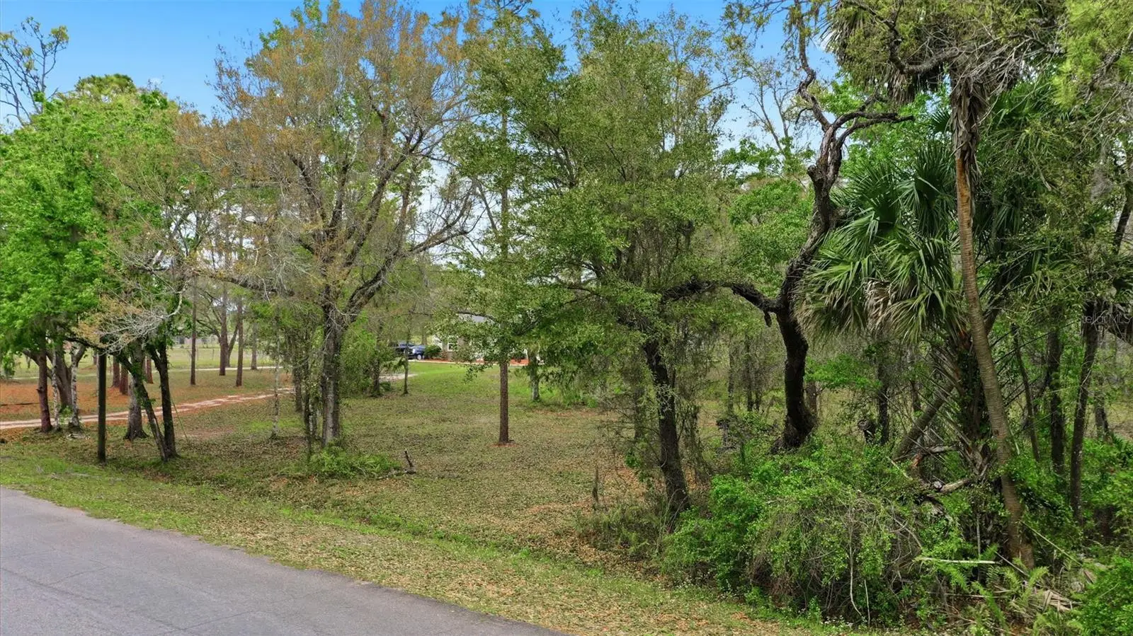 Quinlan Street, FL