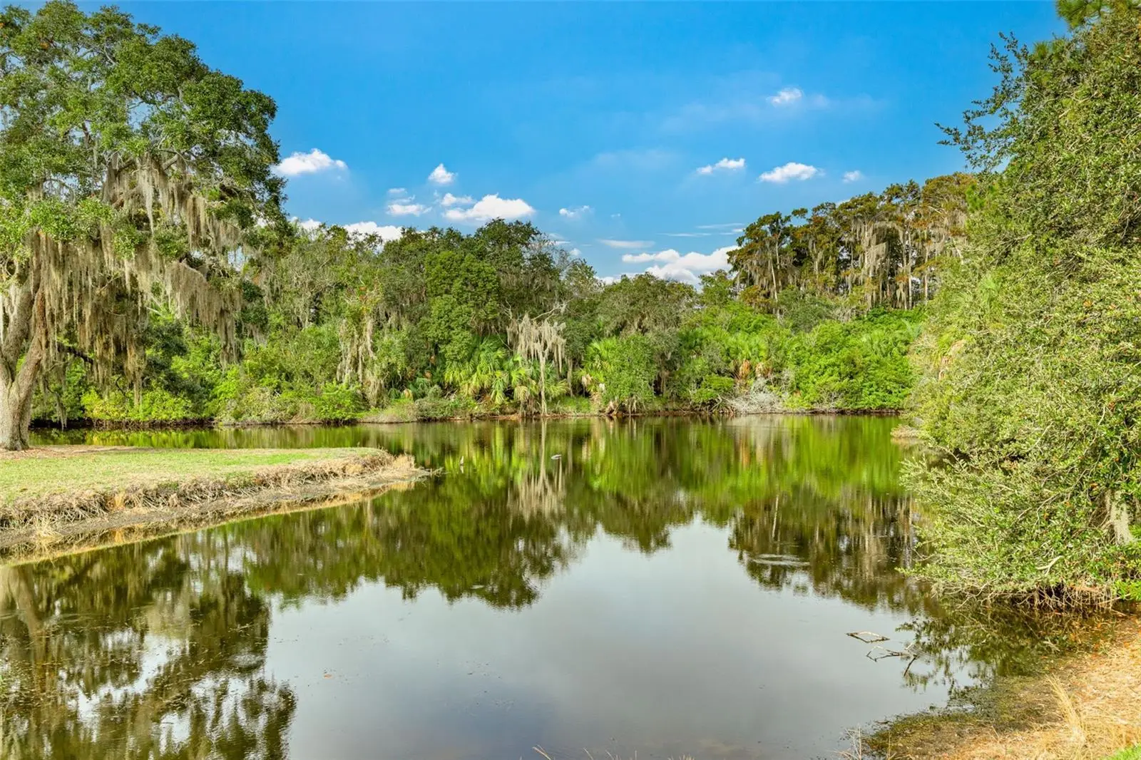 470 Hickorynut Avenue, FL