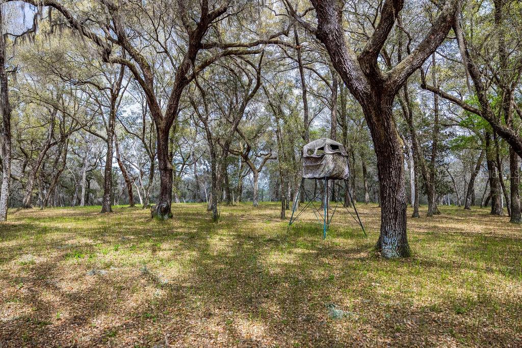 Forest 02 Road, FL