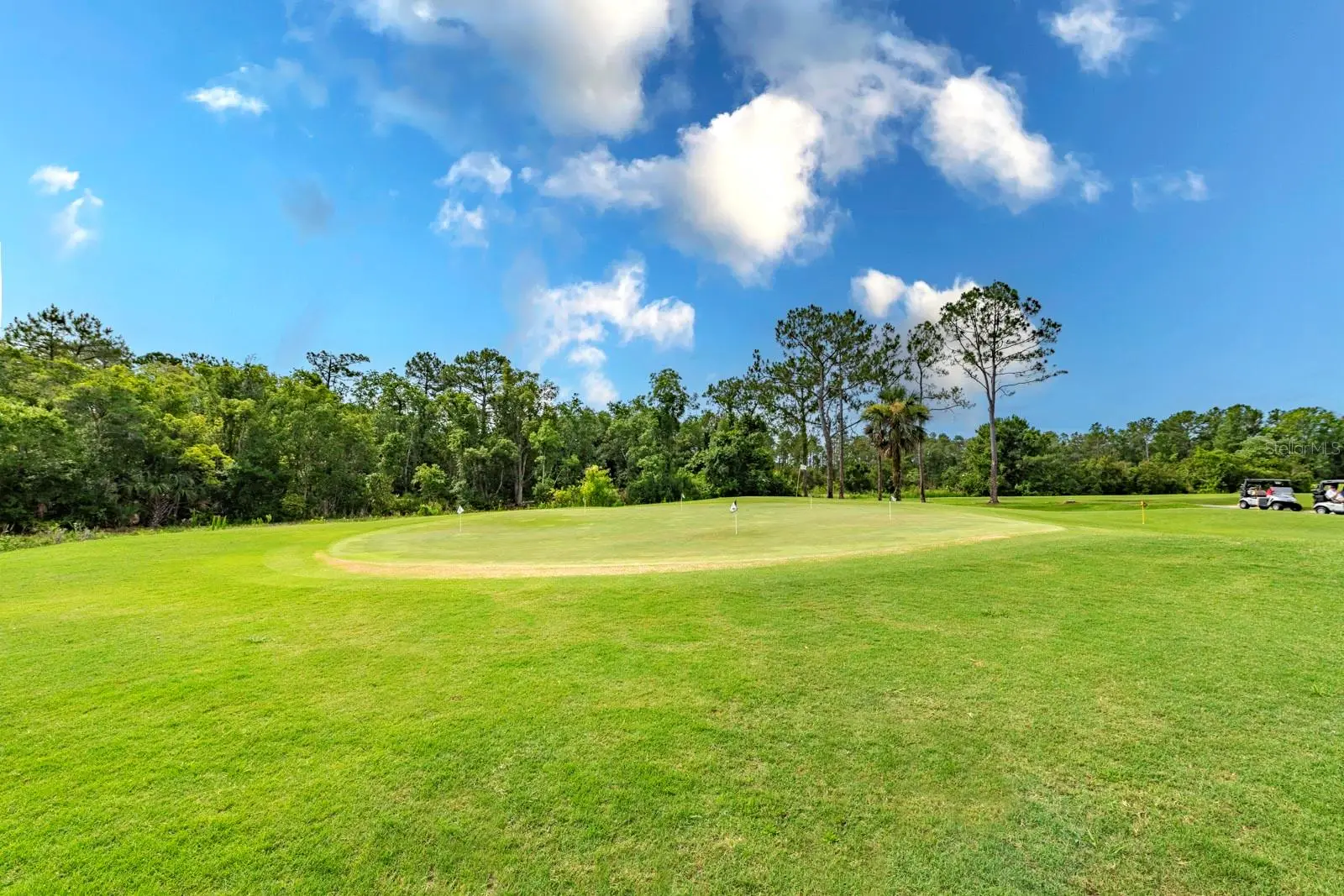 1901 Park Forest Boulevard, FL