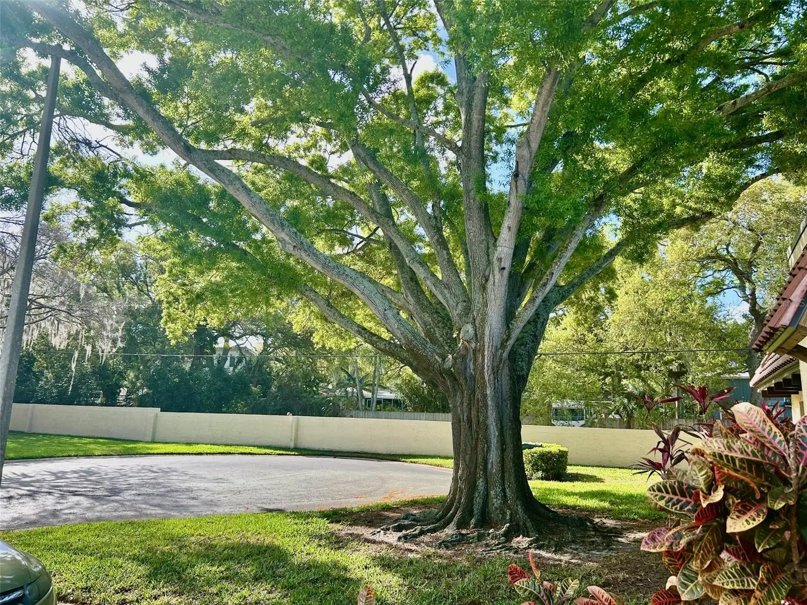 1701 Pinehurst Road, FL