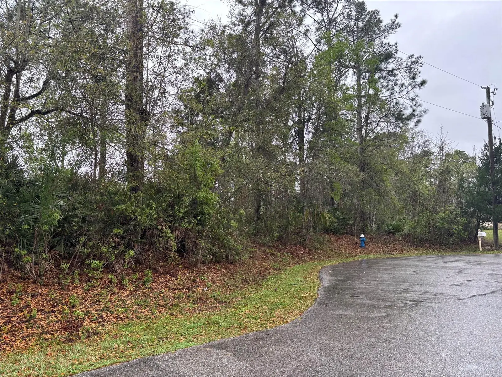 5 Woodchuck Place, FL