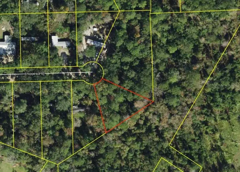 Chippewa Court, FL
