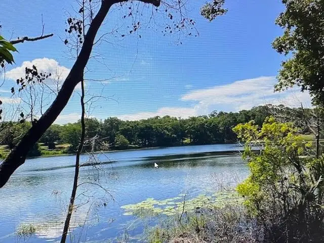 2&3 Spring Lake Road, FL