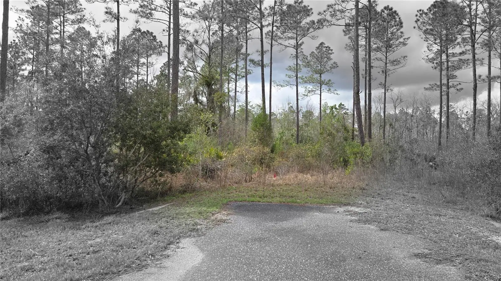 Lot 10 Natalie Way, FL