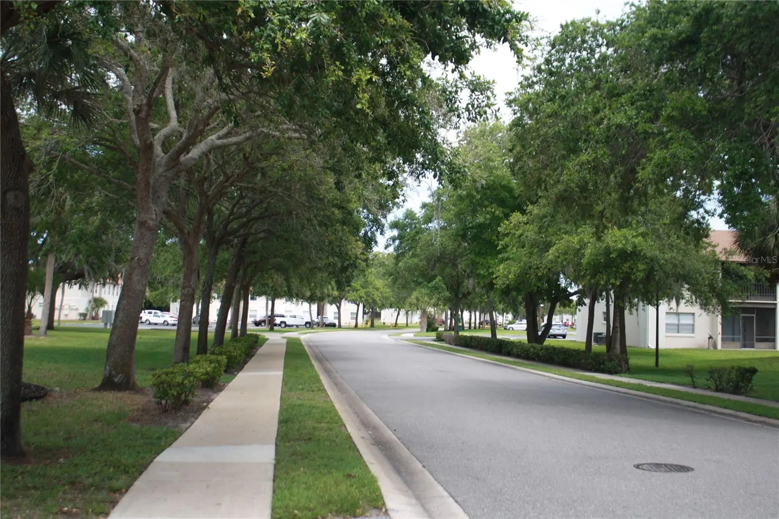 417 Banana Cay Drive, FL
