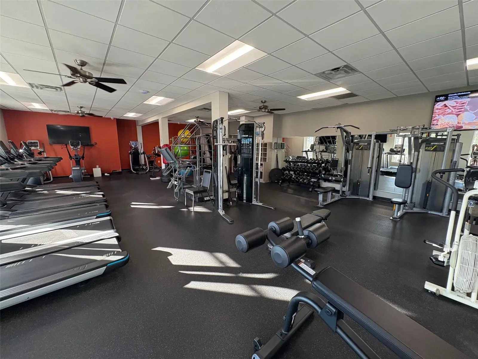 9916 Cleghorn Drive, FL