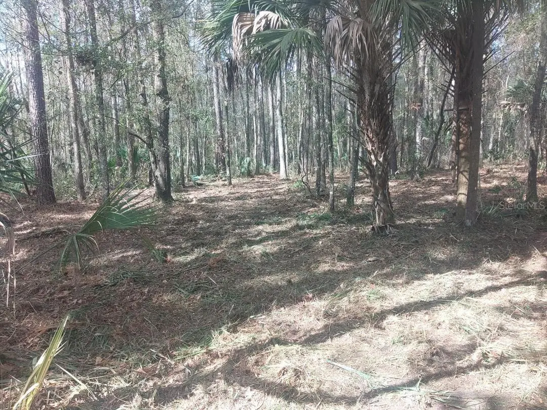 18954 County Rd 329, FL