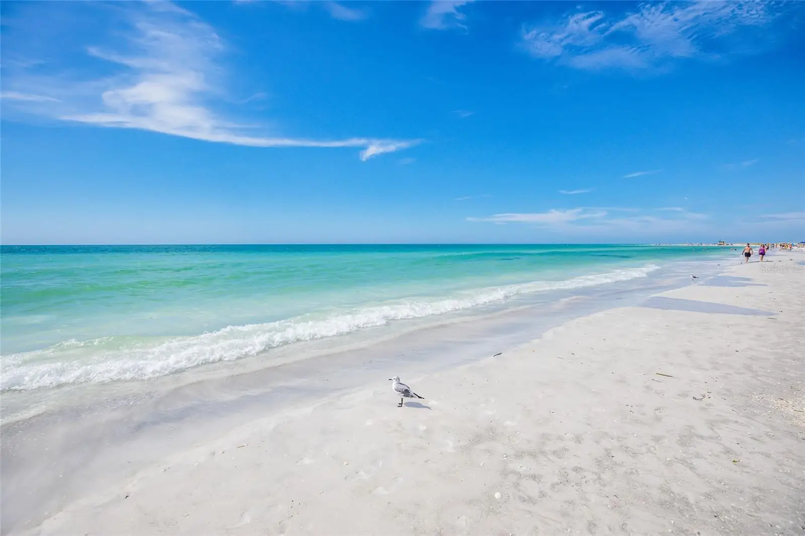 103 Fillmore Drive, FL