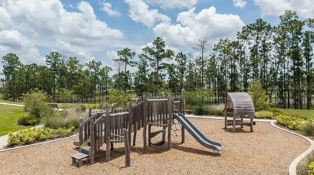 14780 Field Daisy Drive, FL