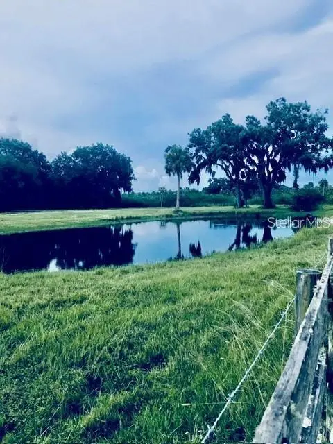 7000 Us-19, FL