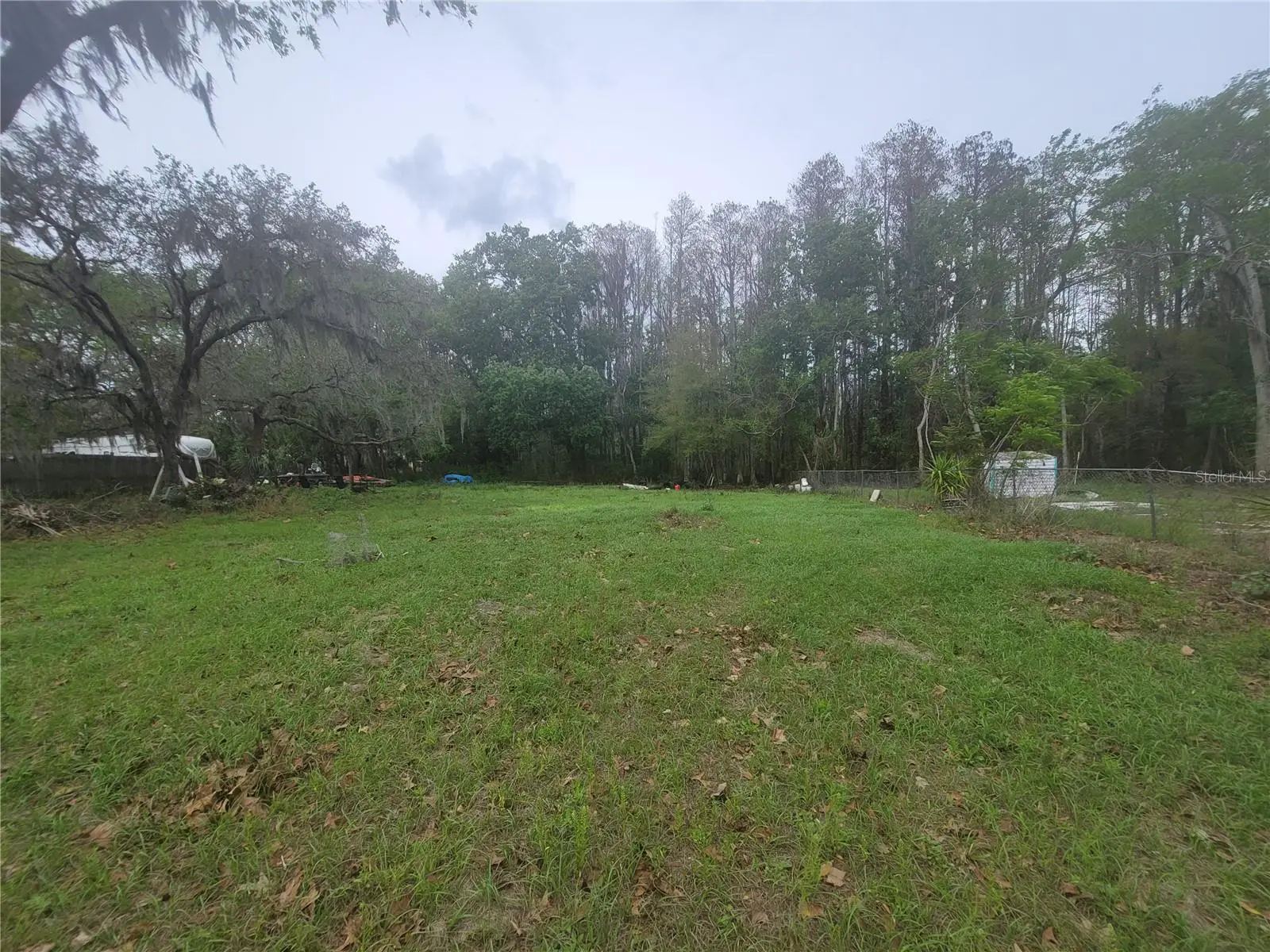 11641 Bruin Drive, FL