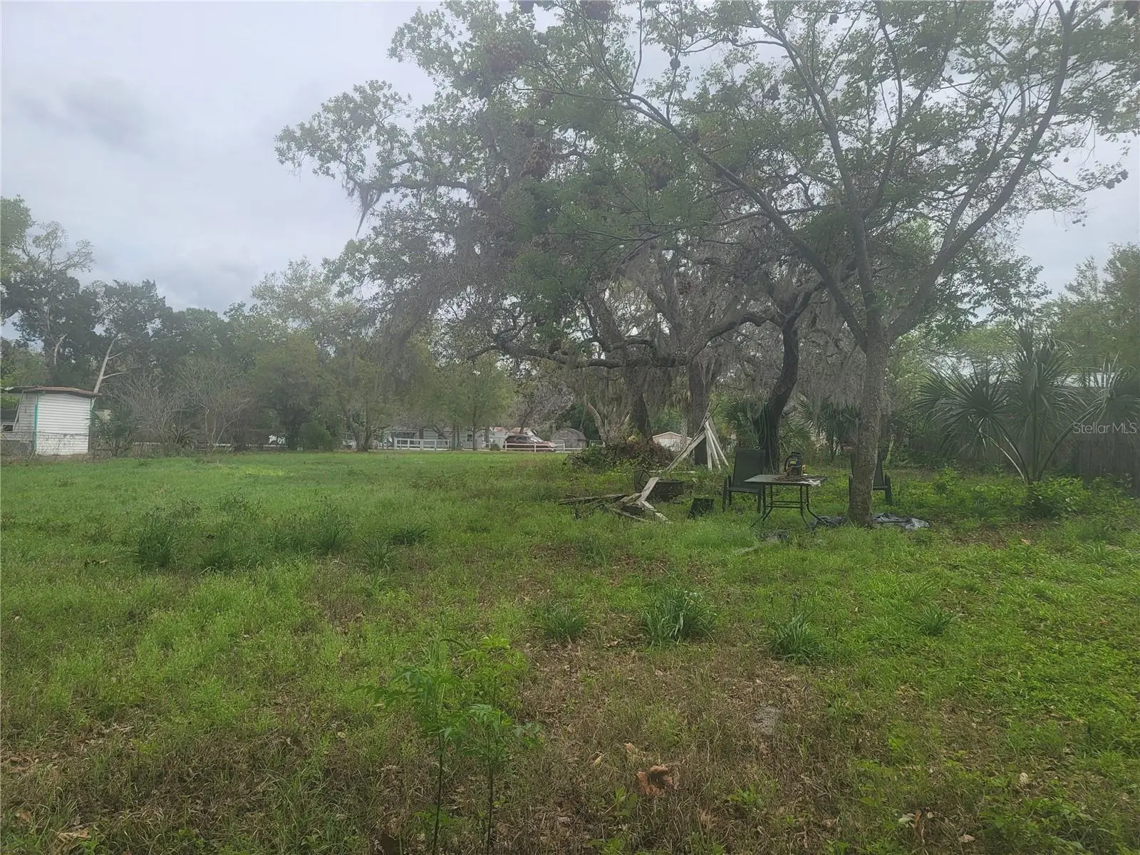 11641 Bruin Drive, FL