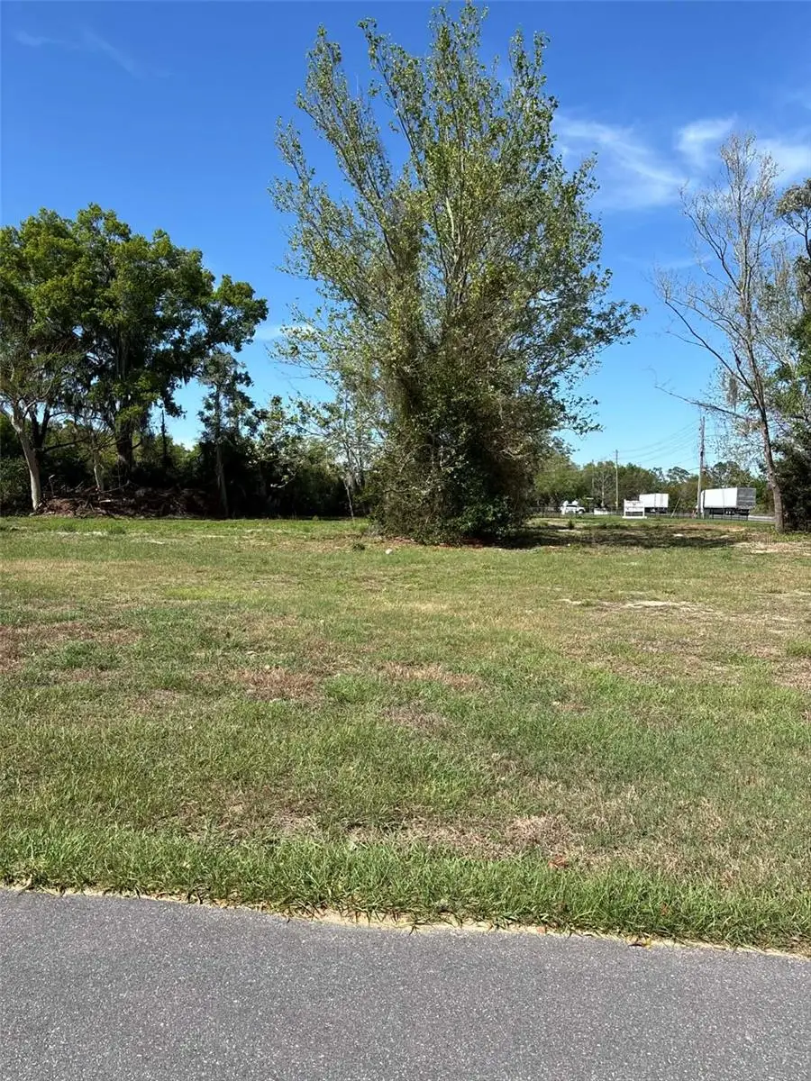 State Road 19, FL