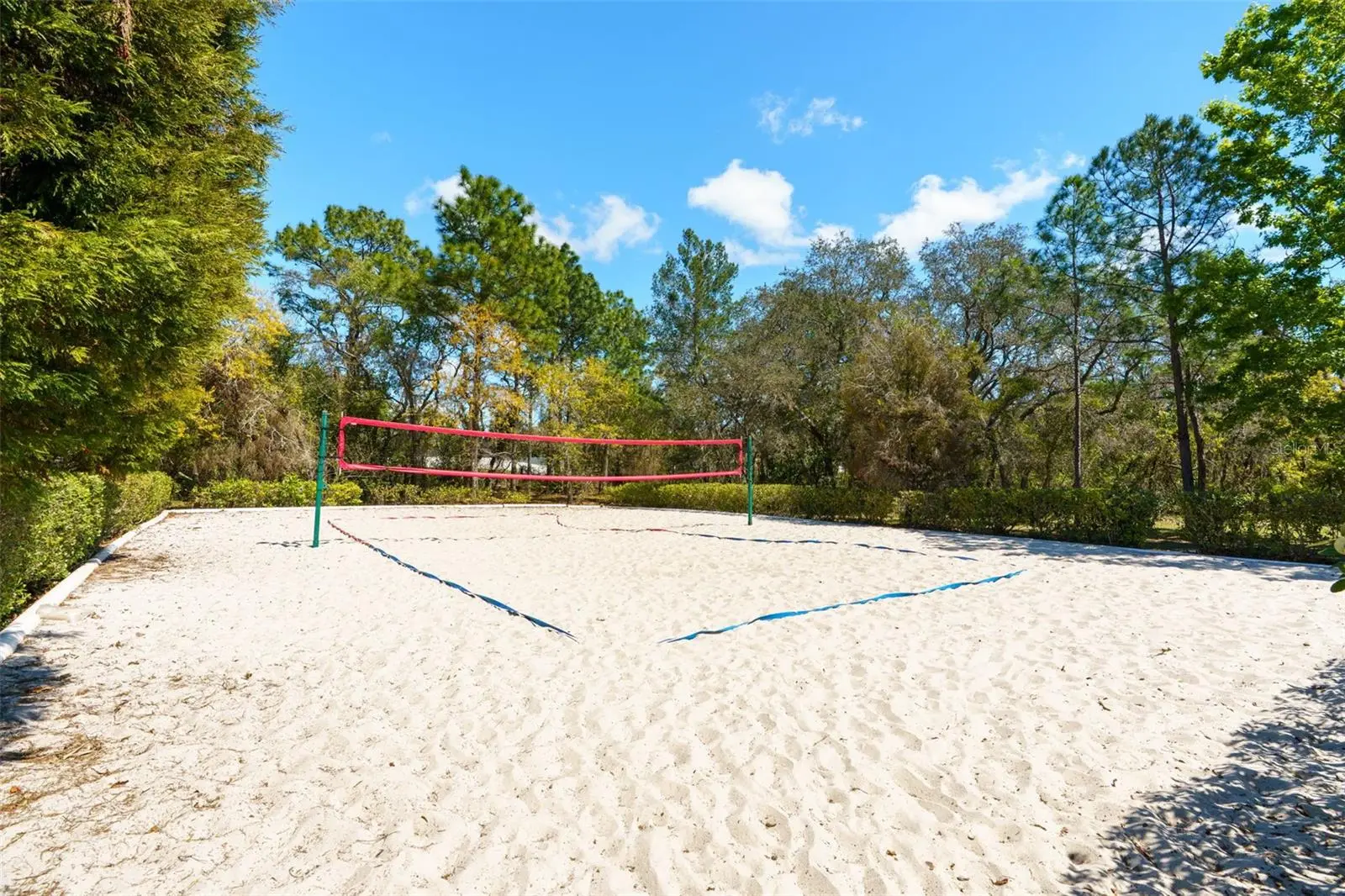 13454 Golden Lime Avenue, FL