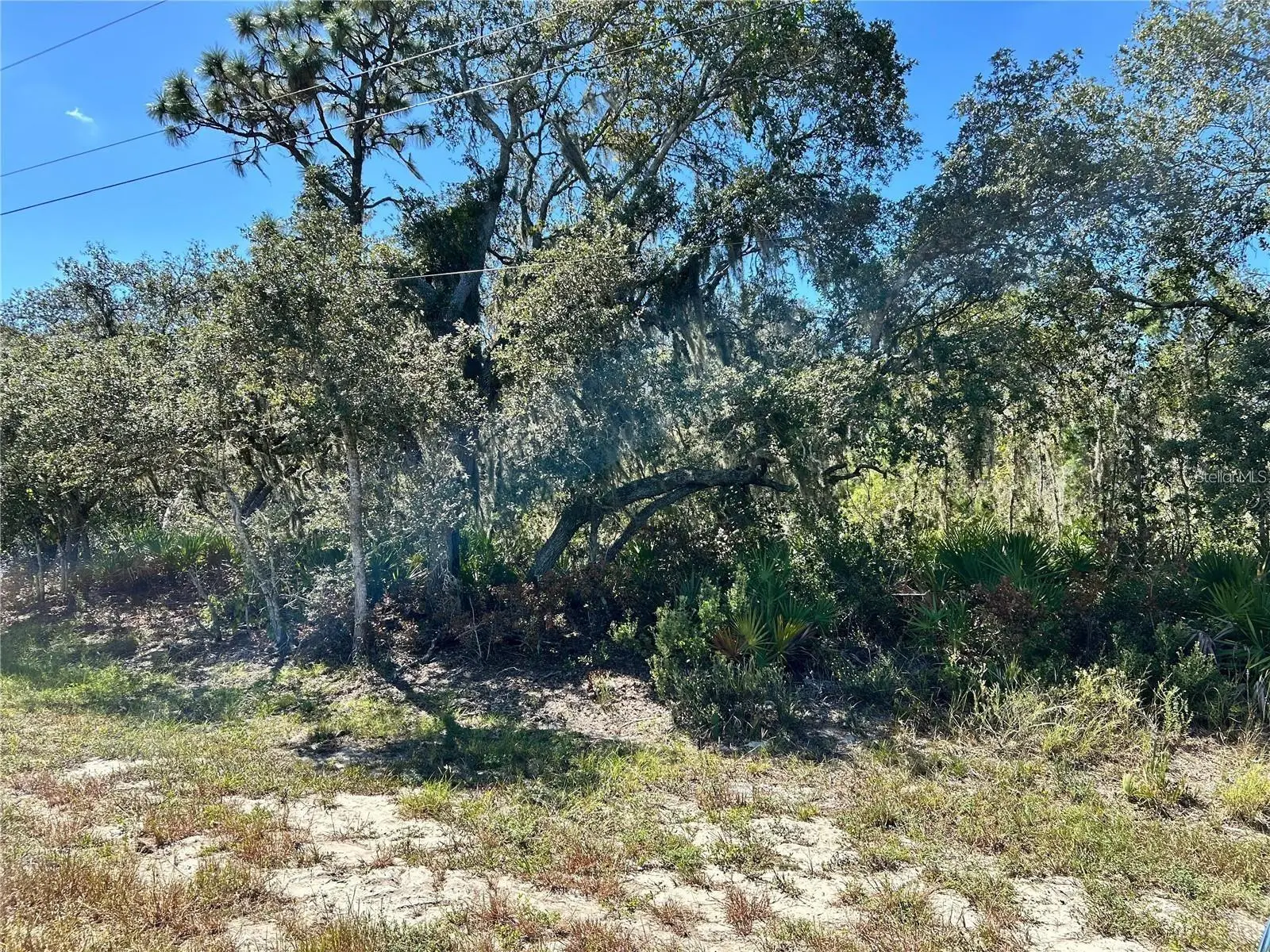 Woodstork Way, FL