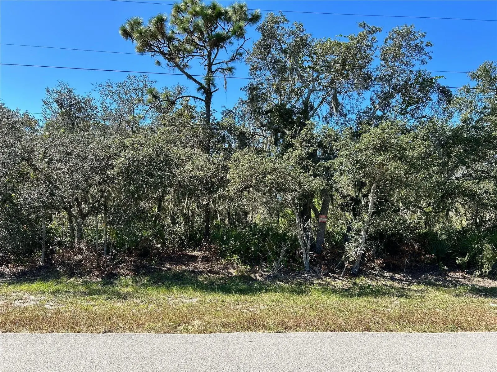 Woodstork Way, FL