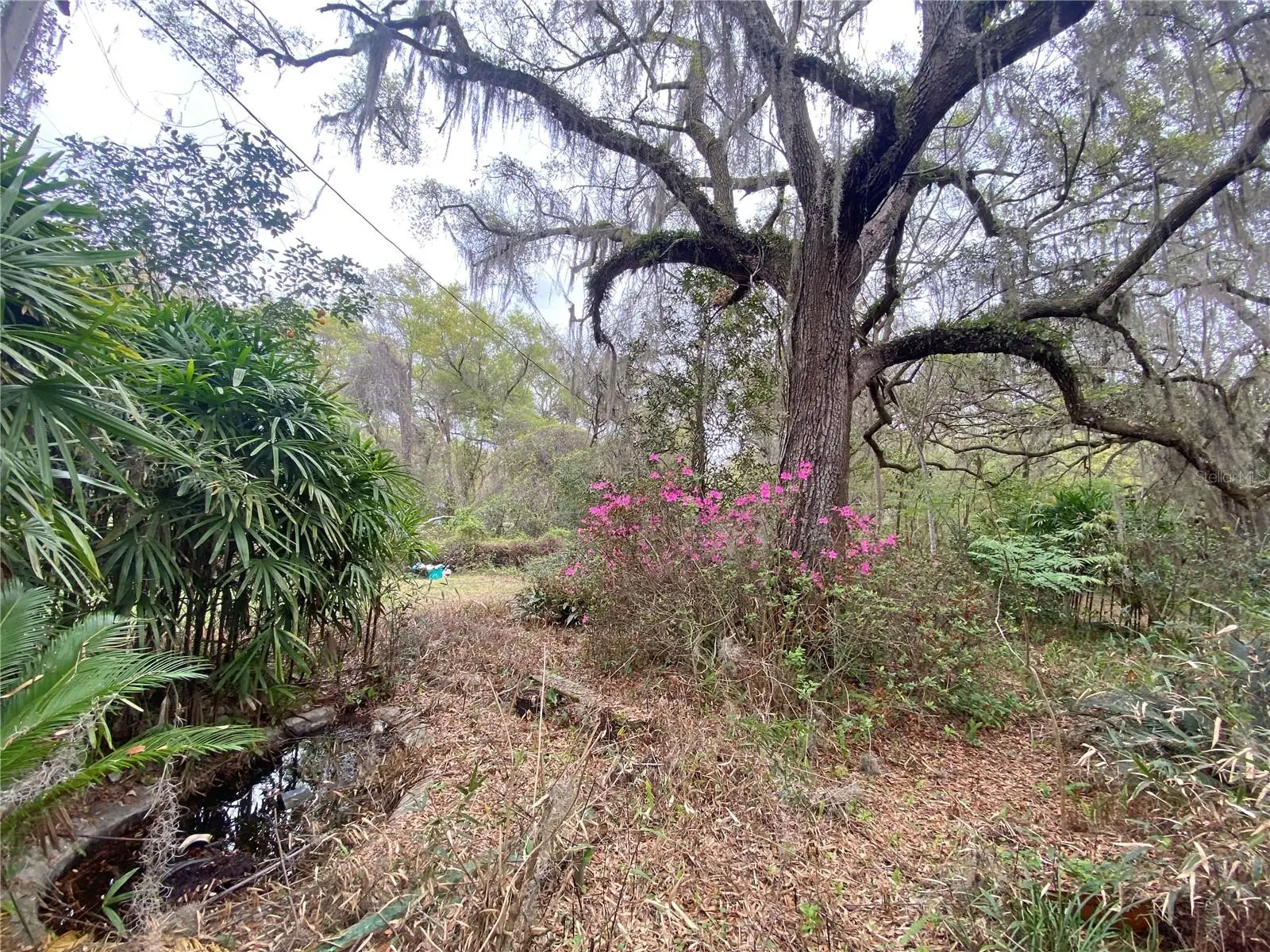 119 Twin Lakes Road, FL