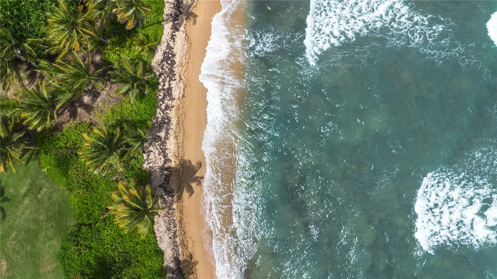 * Surfside, PR