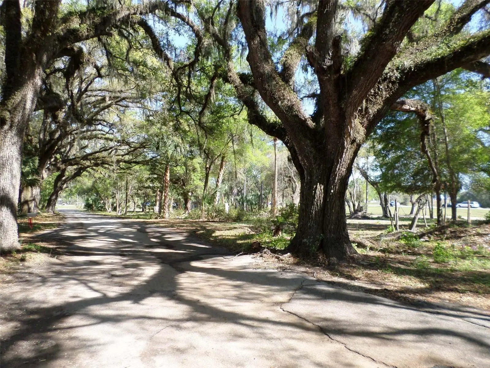 1991 W Test Ct, FL