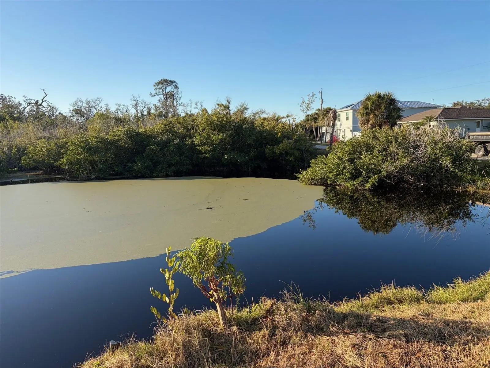 8195 Pine Tree Lane, FL