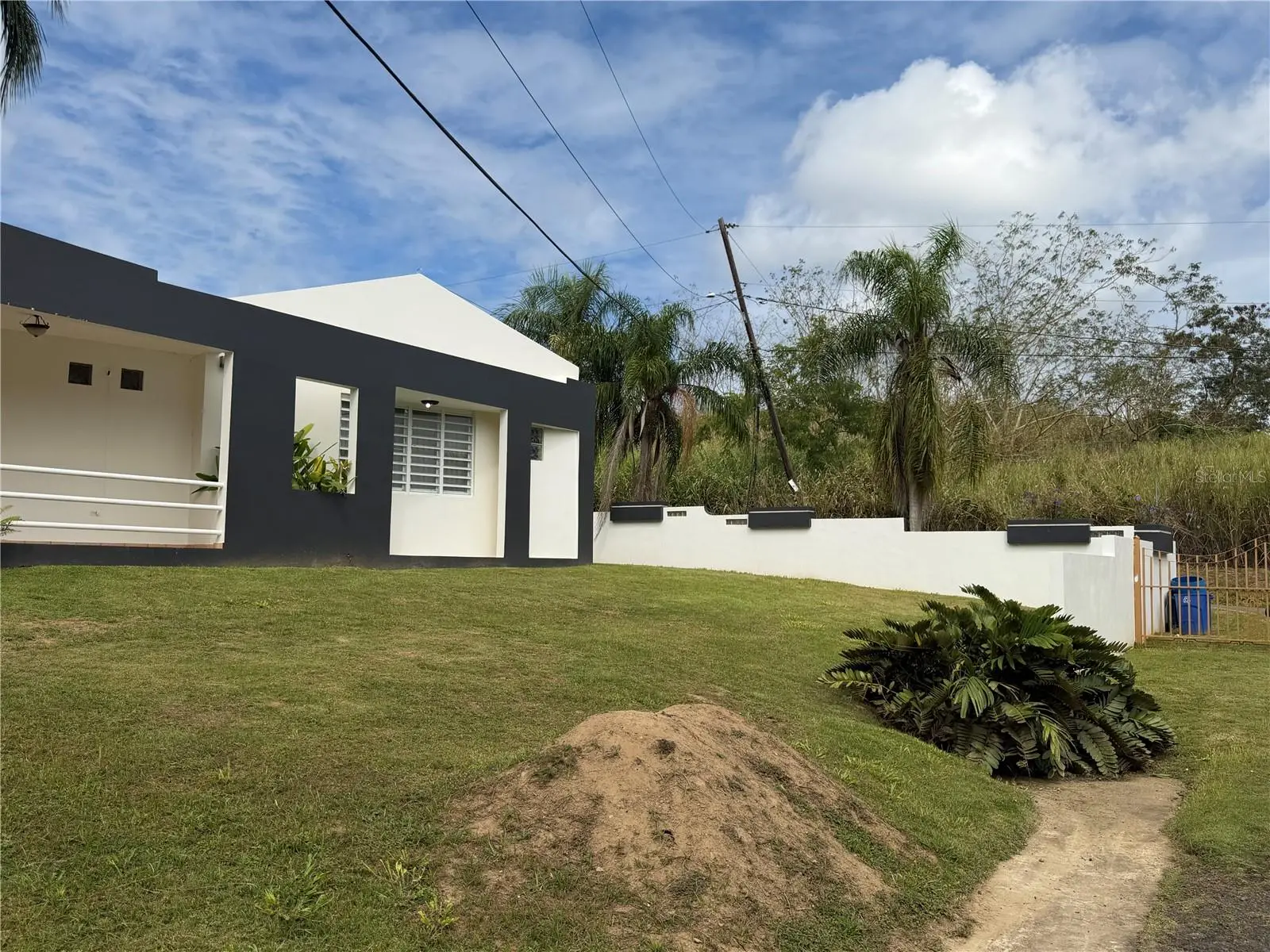 16 Trinitaria, PR