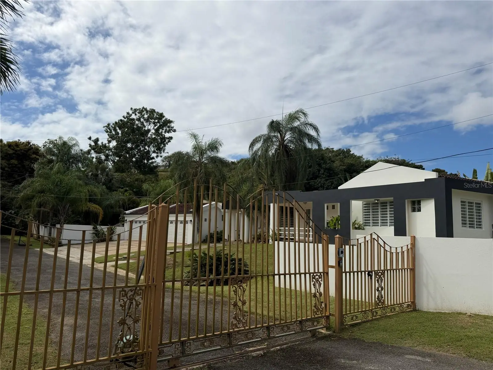 16 Trinitaria, PR