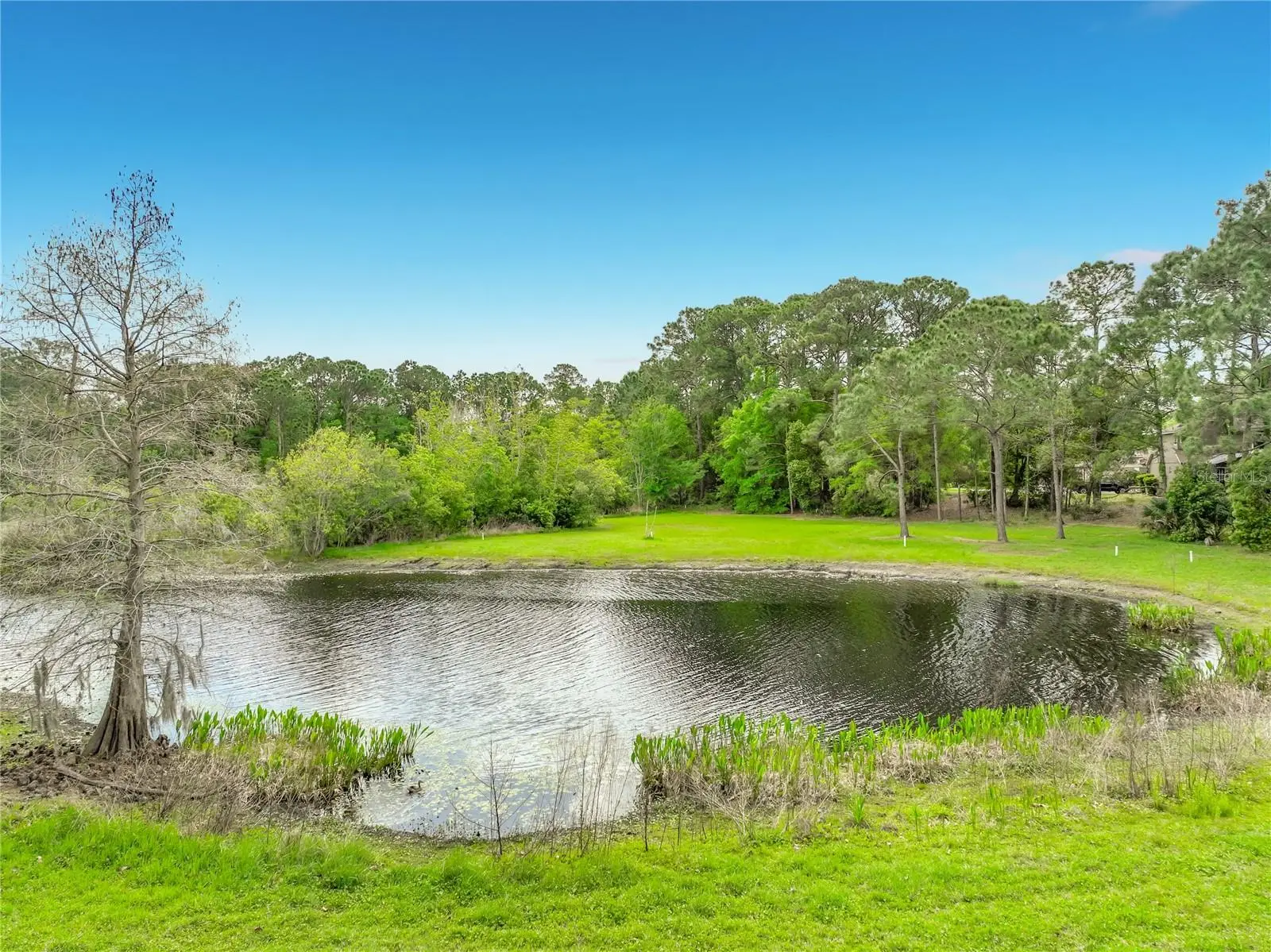 949 Pickfair Terrace, FL