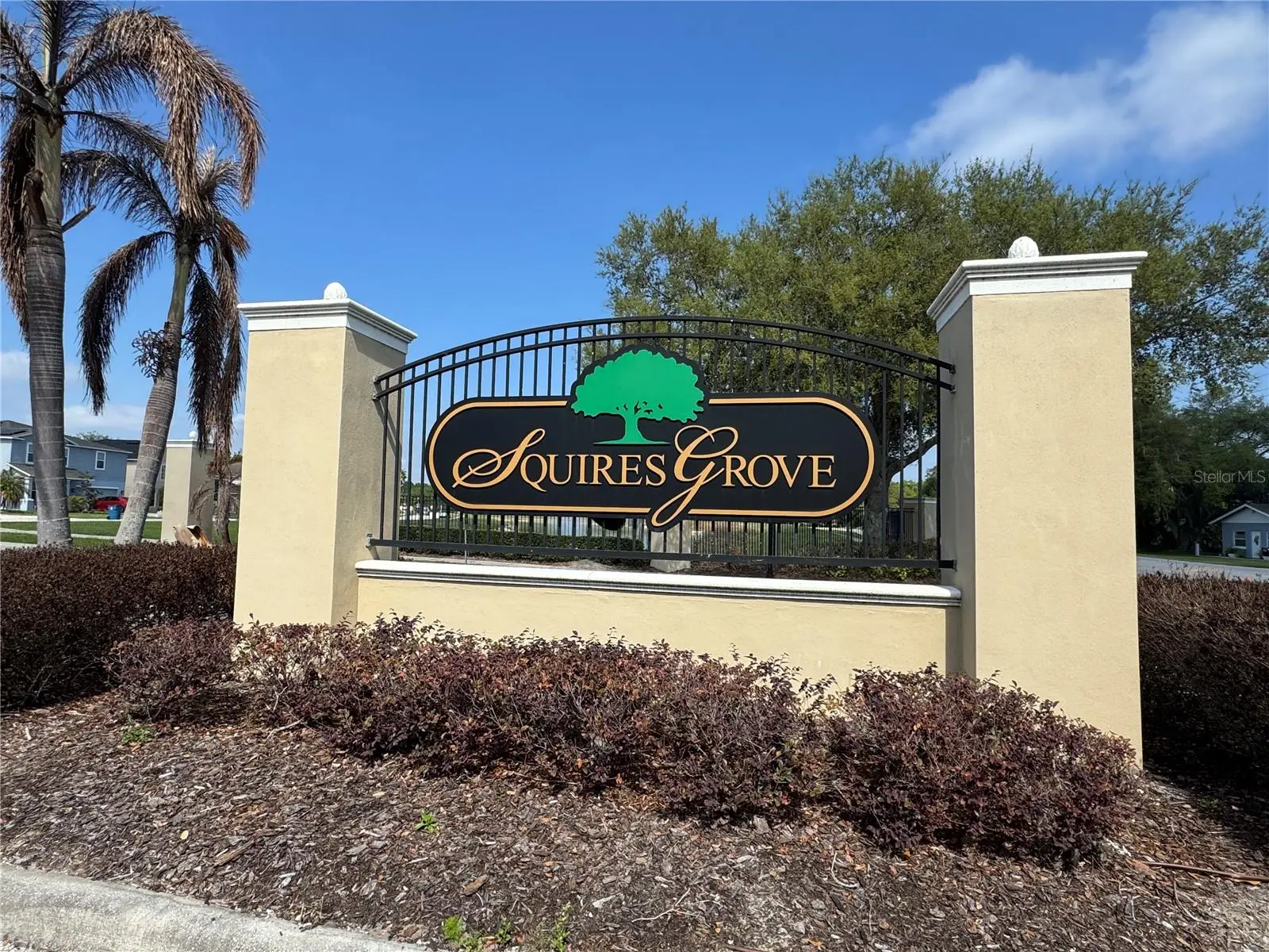 357 Squires Grove Drive, FL
