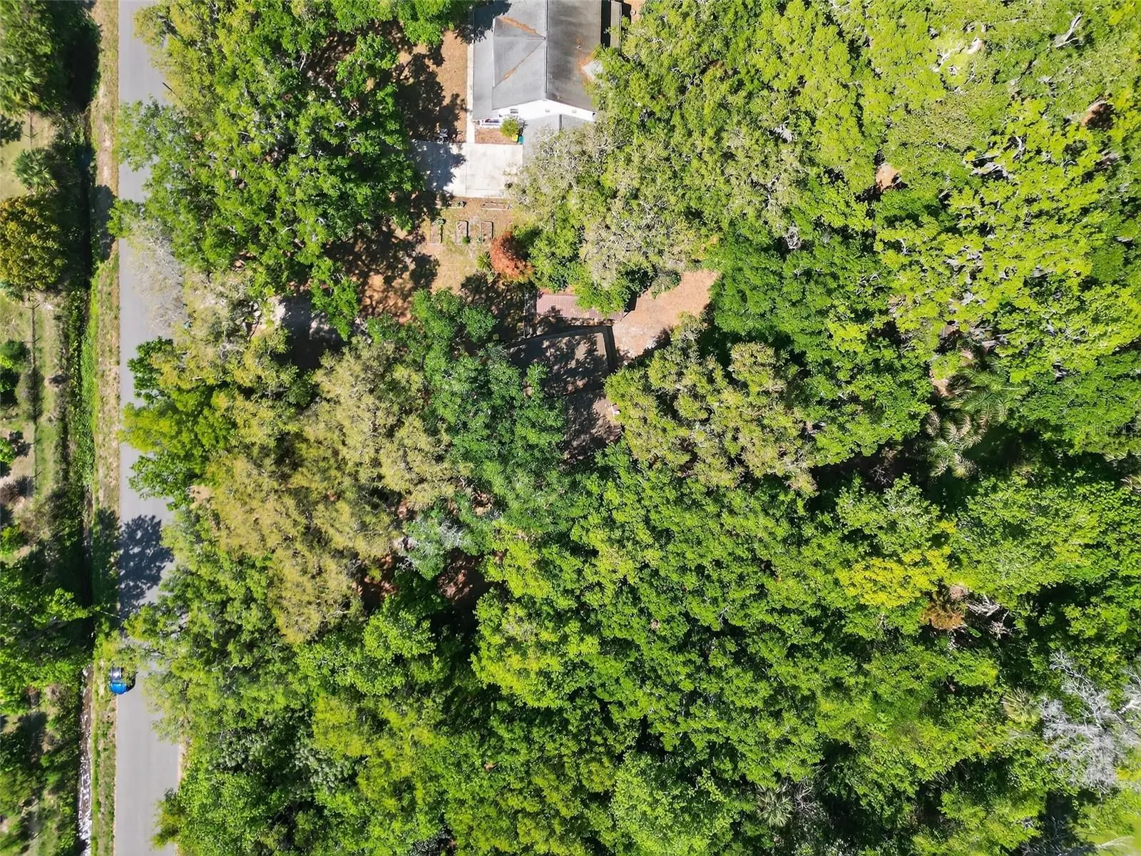 3380 Lionel Road, FL
