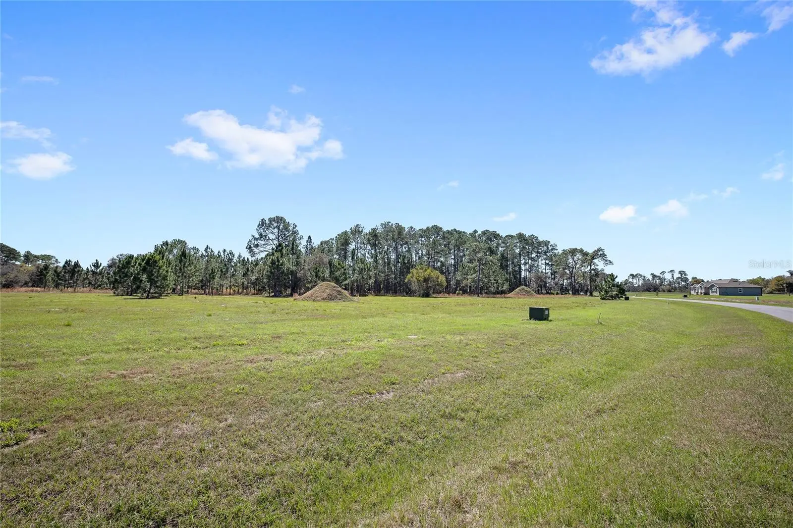 38514 Wooded Meadow Drive, FL